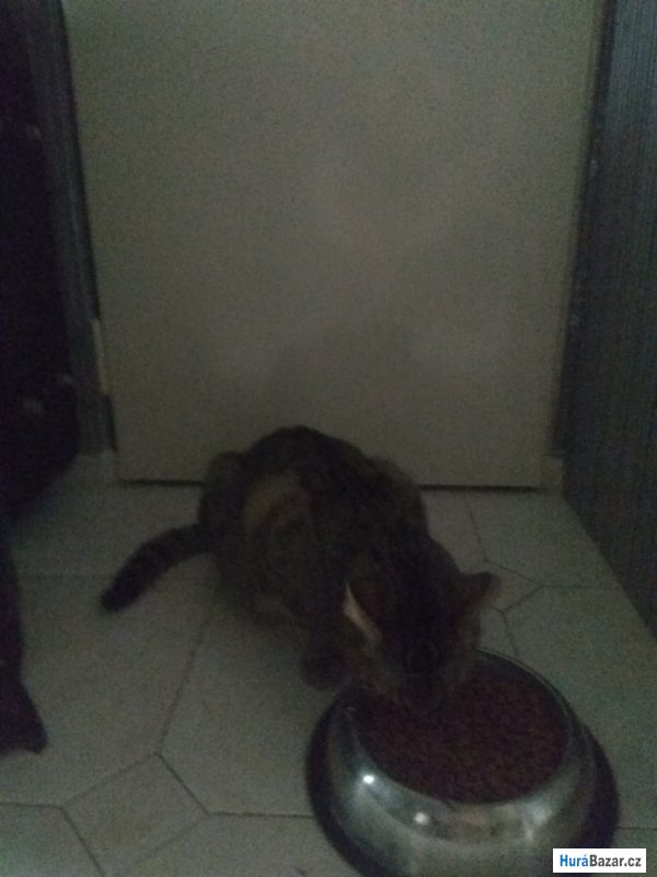 detailní fotografie