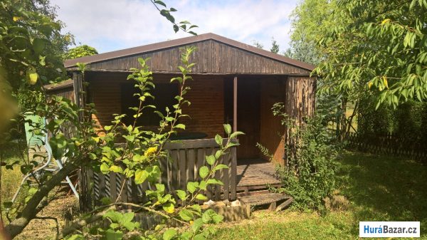 detailní fotografie