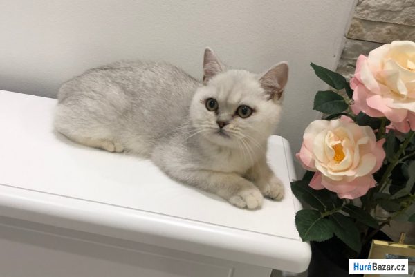 detailní fotografie