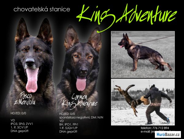 detailní fotografie