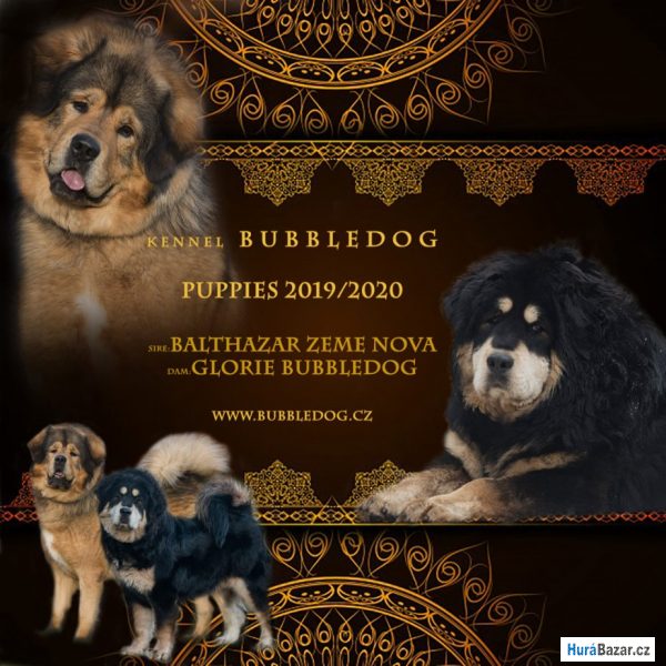 detailní fotografie