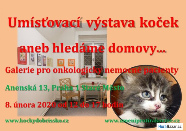 detailní fotografie