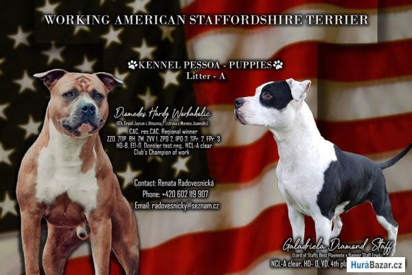 detailní fotografie