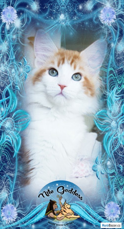 detailní fotografie