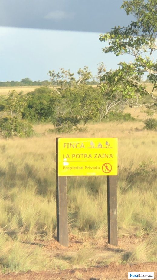 detailní fotografie