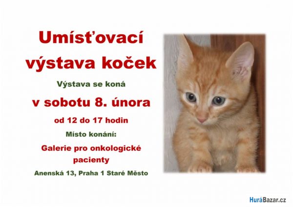 detailní fotografie