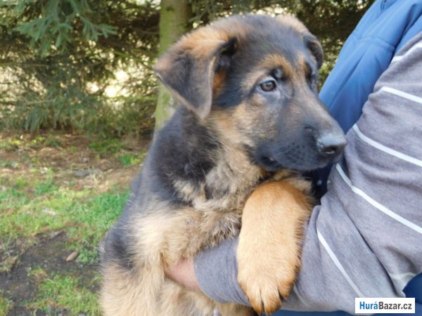 detailní fotografie