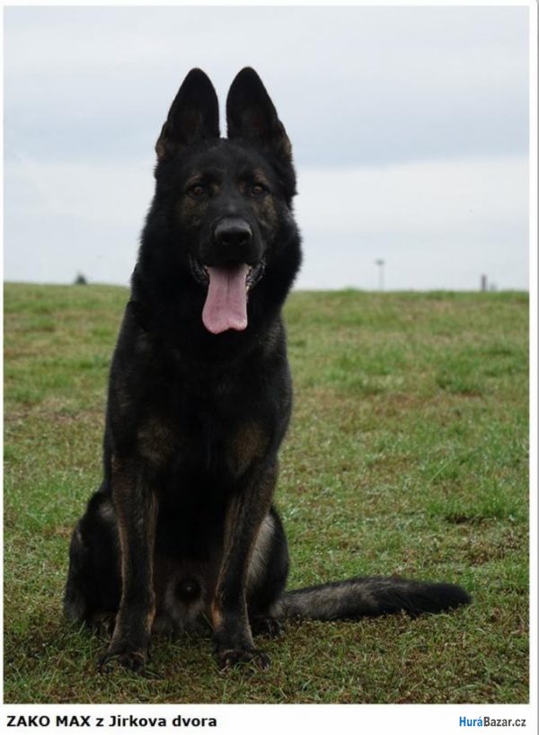 detailní fotografie