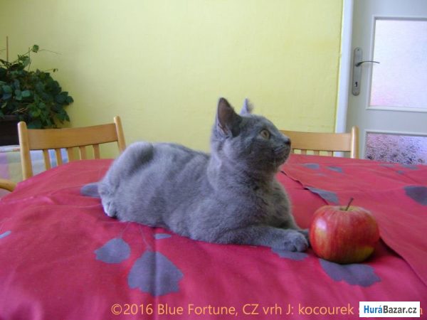 detailní fotografie