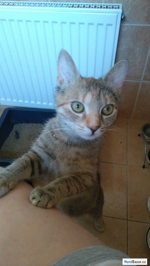 detailní fotografie