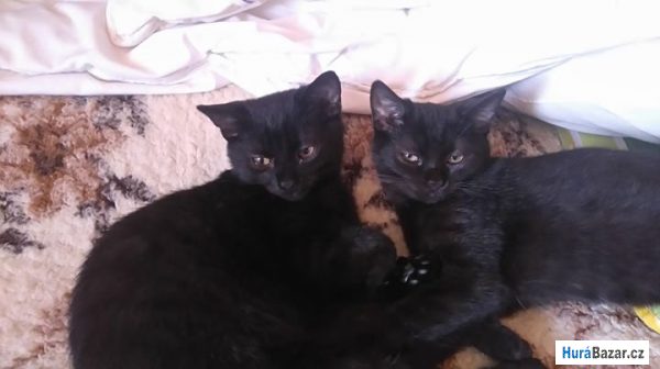 detailní fotografie