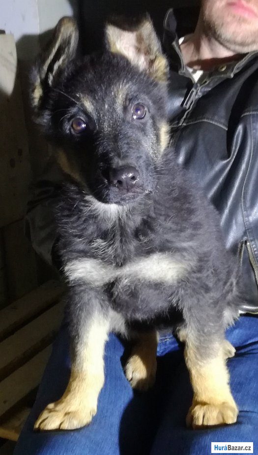 detailní fotografie