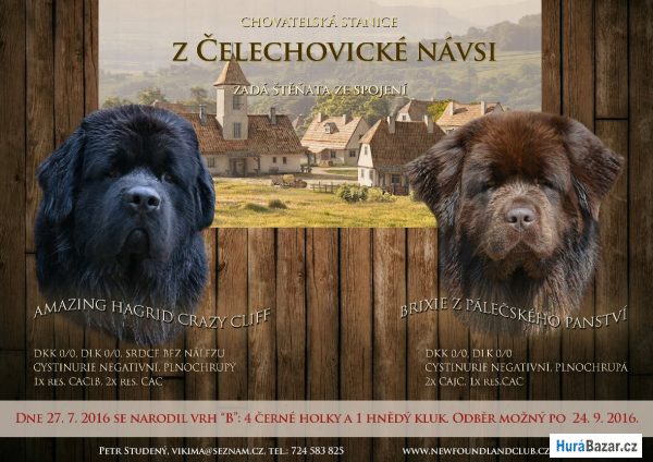 detailní fotografie