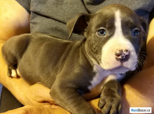 detailní fotografie