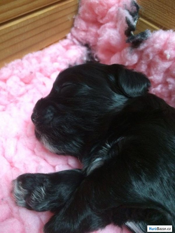 detailní fotografie