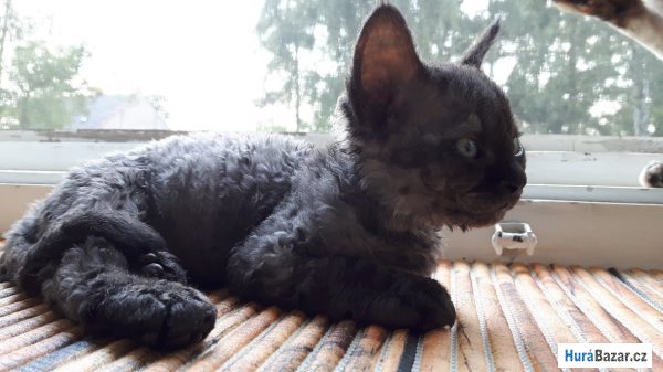 detailní fotografie