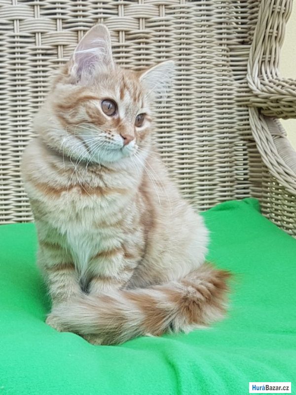 detailní fotografie