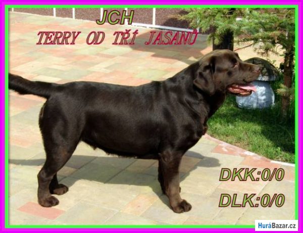 detailní fotografie