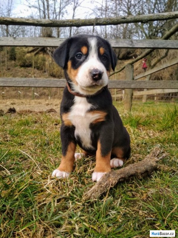 detailní fotografie