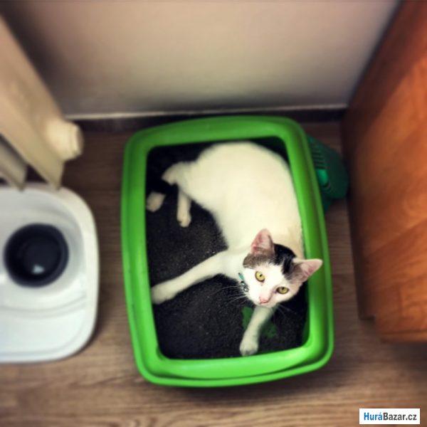 detailní fotografie