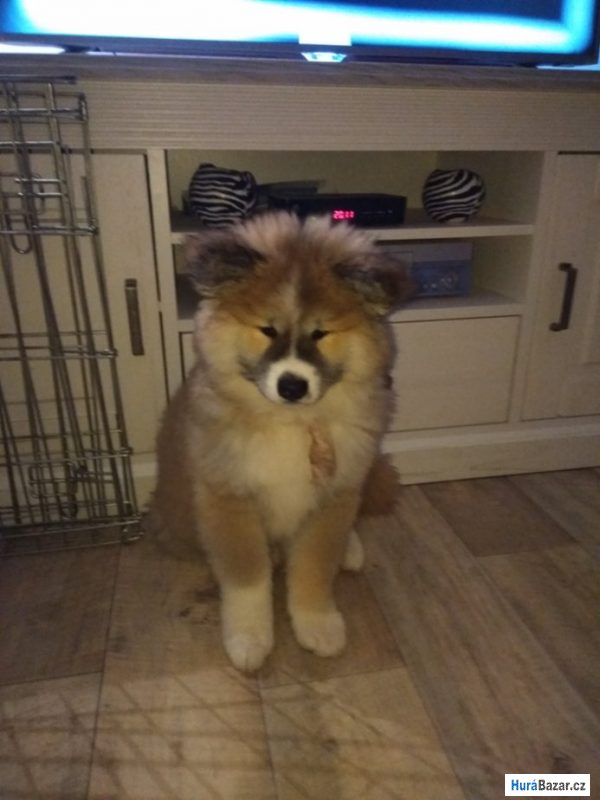 detailní fotografie