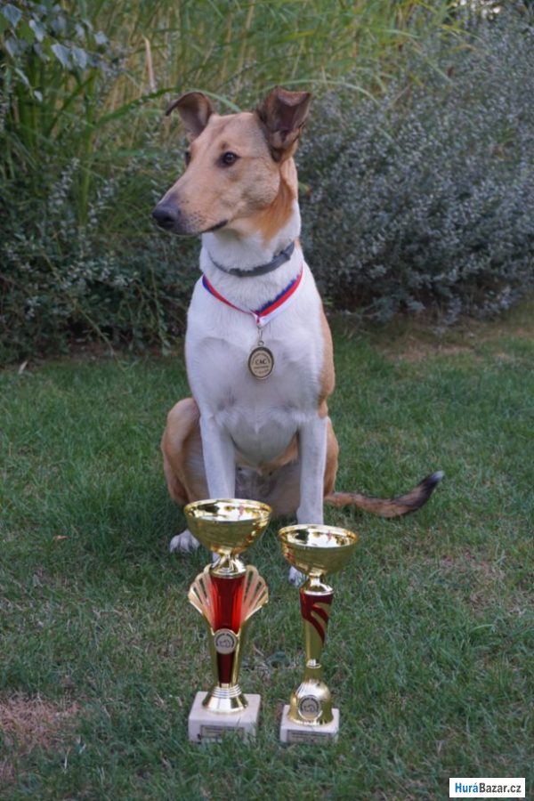 detailní fotografie