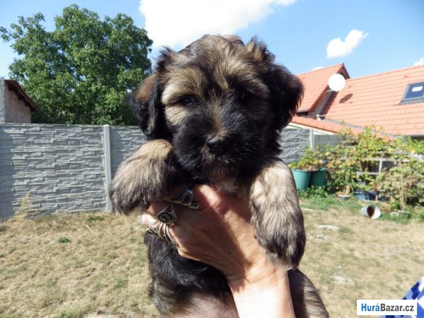 detailní fotografie