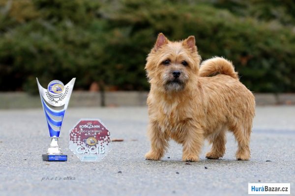 detailní fotografie