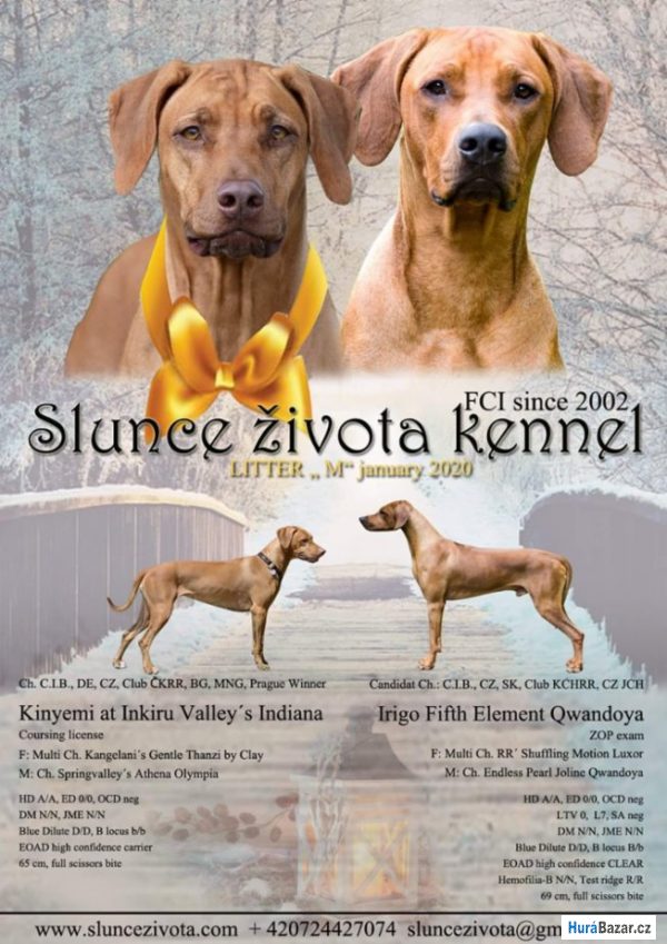 detailní fotografie