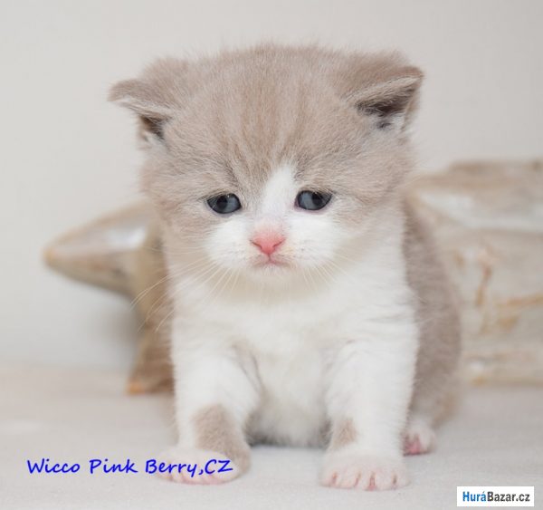 detailní fotografie