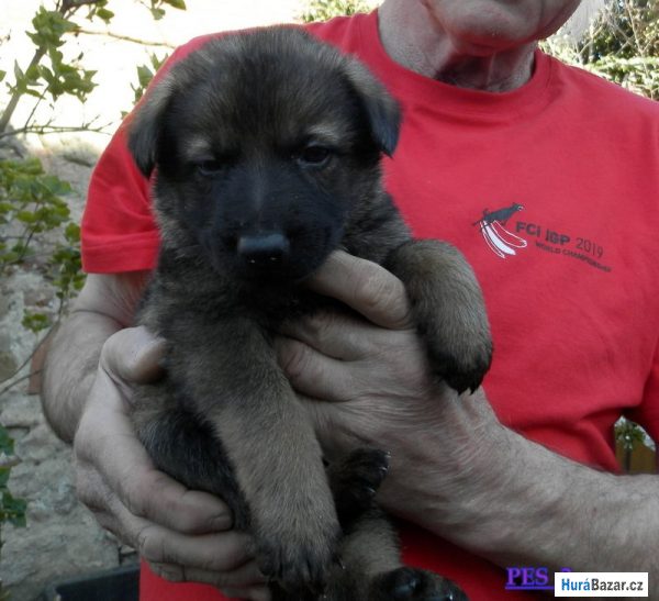 detailní fotografie