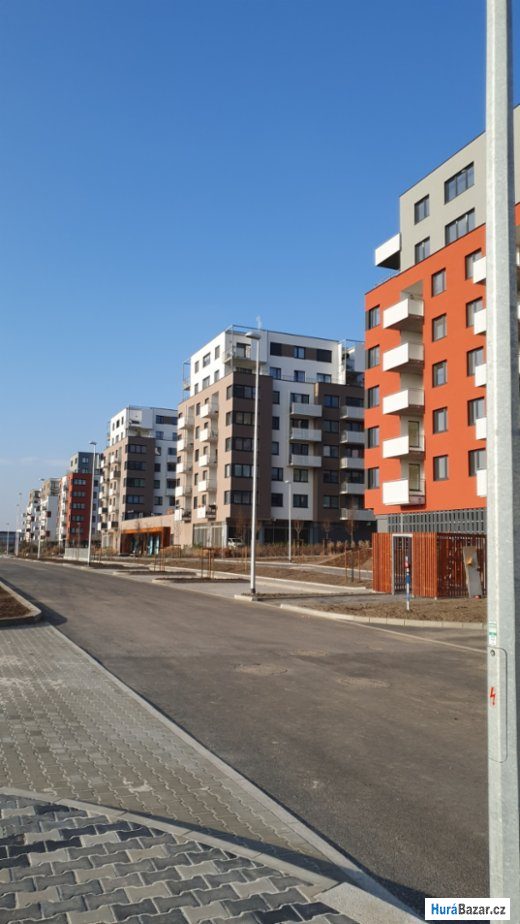 detailní fotografie