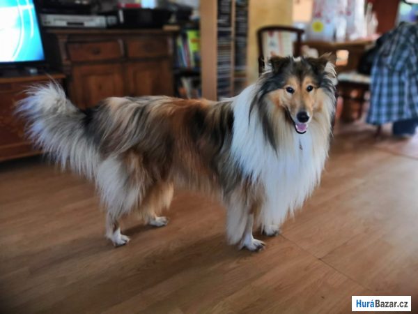 detailní fotografie