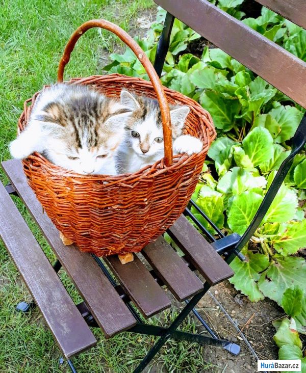 detailní fotografie