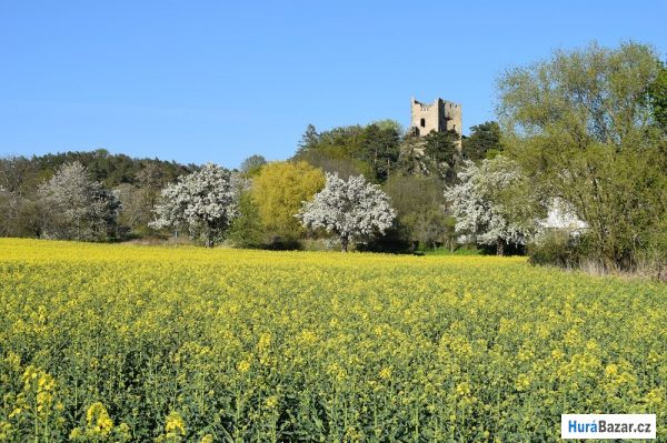 detailní fotografie