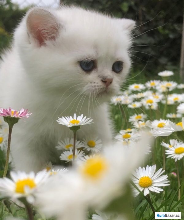 detailní fotografie