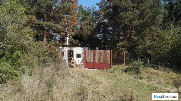 detailní fotografie