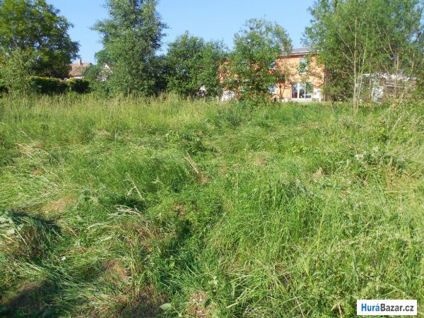 detailní fotografie