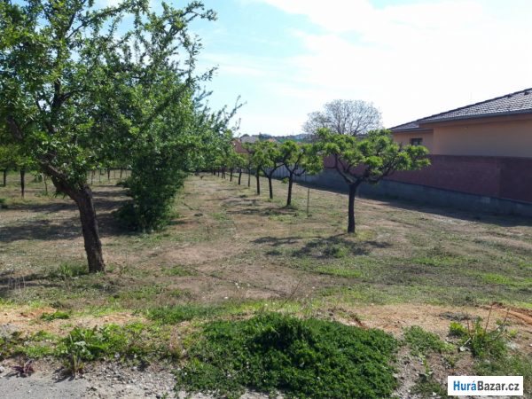 detailní fotografie