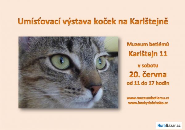 detailní fotografie