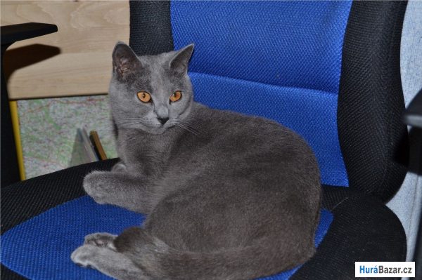 detailní fotografie