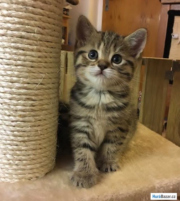 detailní fotografie