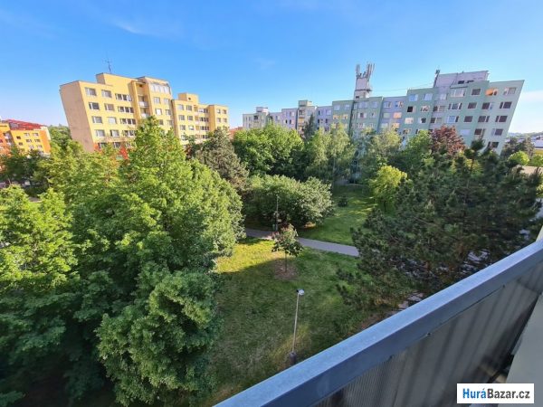 detailní fotografie