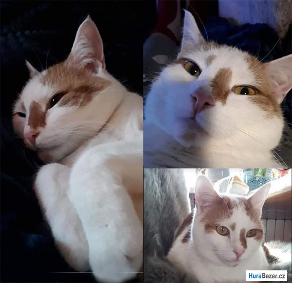 detailní fotografie