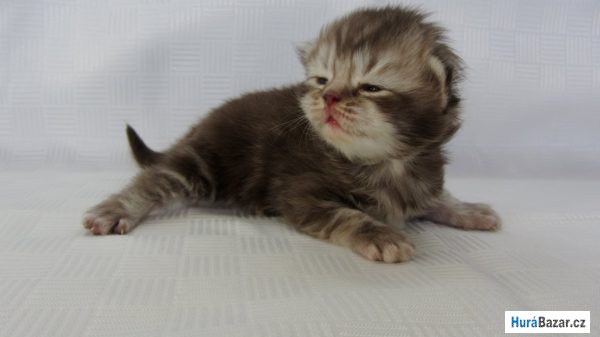 detailní fotografie