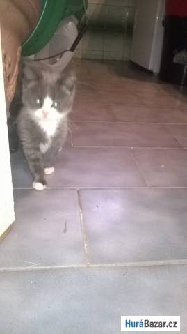 detailní fotografie