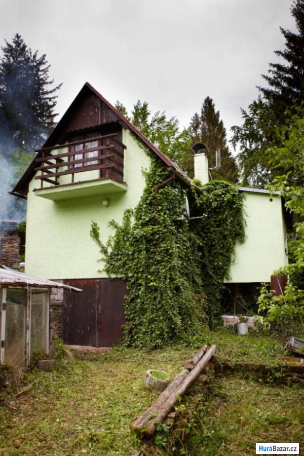 detailní fotografie