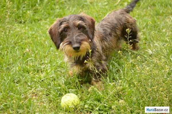 detailní fotografie