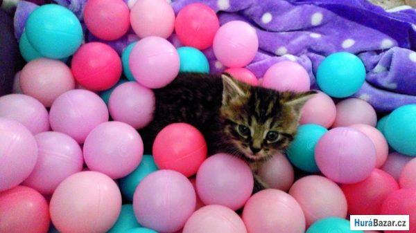 detailní fotografie