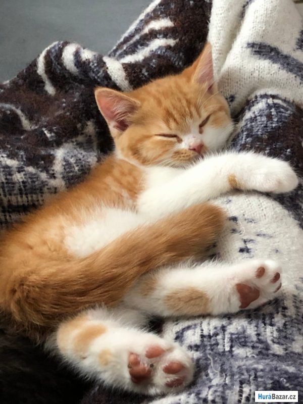 detailní fotografie